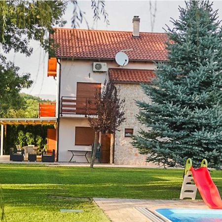 Villa Leko Dream House Cetina Dış mekan fotoğraf