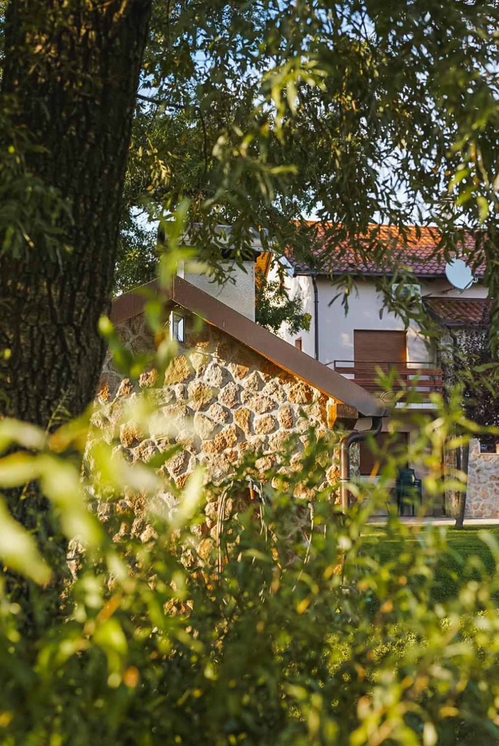 Villa Leko Dream House Cetina Dış mekan fotoğraf